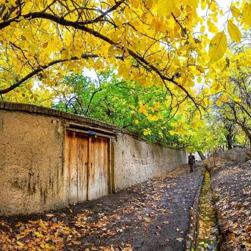 محمدرضا نظری ای سرنوشتم نومدی هر چی نوشتم نومدی